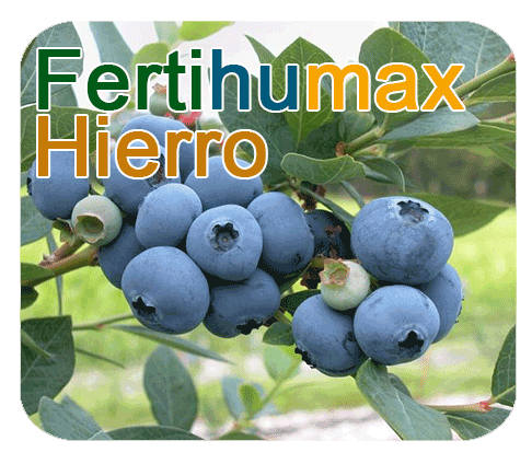 Fertihumax : Fertilizantes quelatados líquidos de alto rendimiento de Hierro